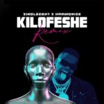zinoleesky kilofeshe remix ft harmonize