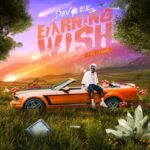 Davolee – Earning Wish Album 696x696 1 1