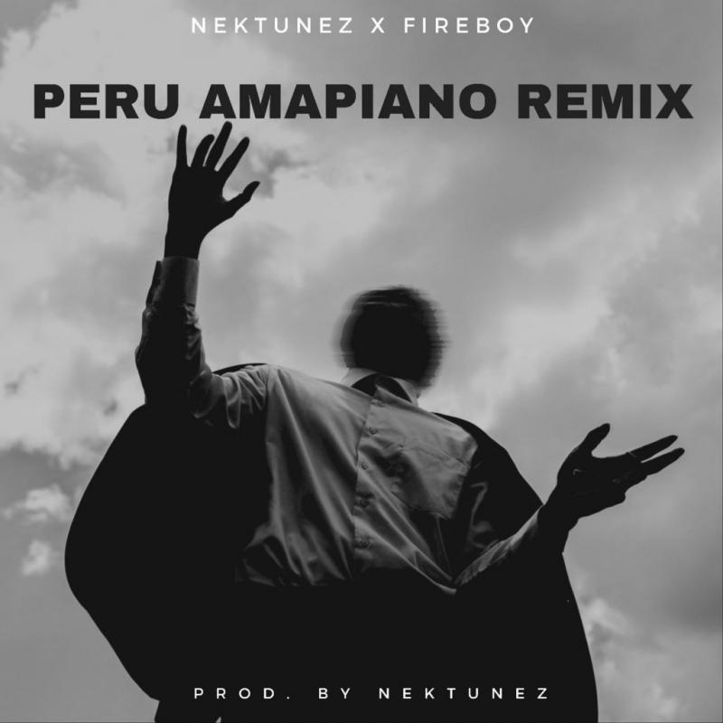 fireboy dml x nektunez – peru amapiano remix