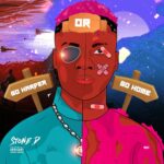 stone d go harder or go home