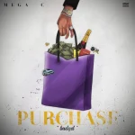 Purchase Budget by Mega C 1