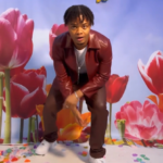 Crayon – Ijo Laba Laba 1