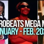 Afrobeats Mix Ft Kizz Daniel Asake Seyi Vibez Naira Marley Davido WizKid 2023 Mixtape