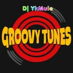 Groovy Tune Song by Dj Yk Mule