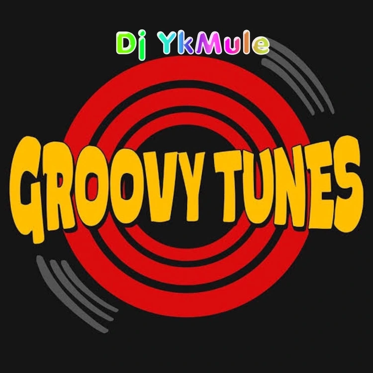 Groovy Tune Song by Dj Yk Mule
