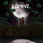 Amina Song by D Jay