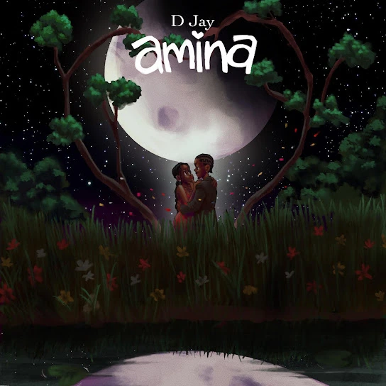 Amina Song by D Jay