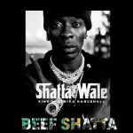 Beef Shatta Song by Shatta Wale
