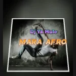 Mara Afro Song by Dj Yk Mule