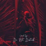 Omah Lay – Do Not Disturb