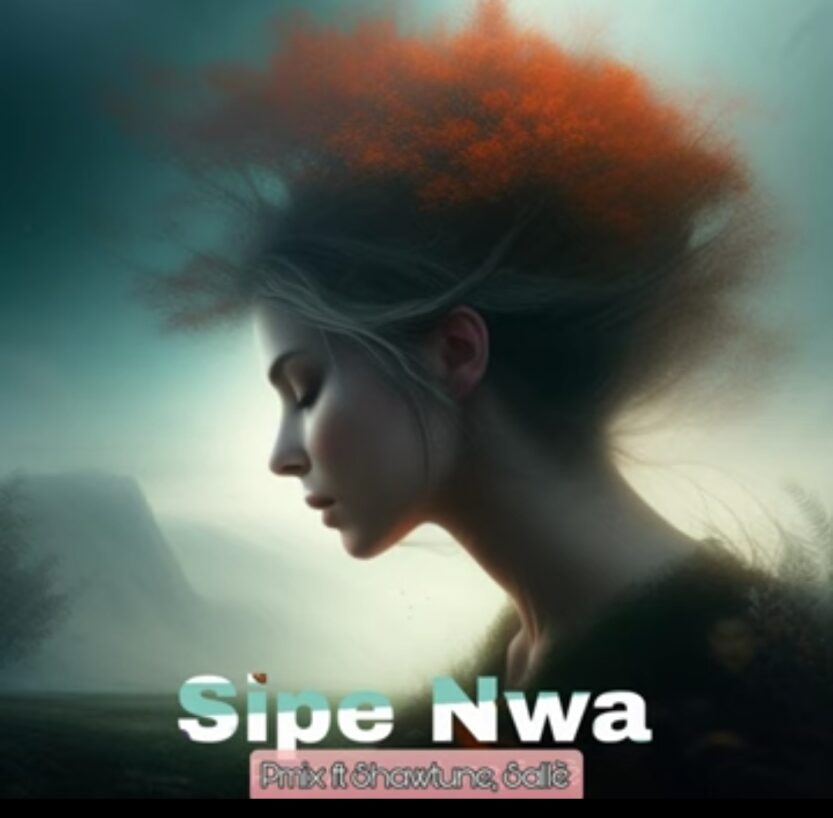 Pmix – Sipe Nwa Ft. Salle & Shawtune