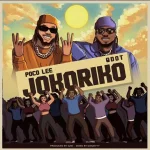 Poco Lee Jokoriko Ft Qdot