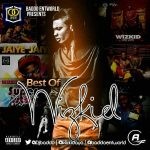 DJ Baddo Best of Wizkid Mixtape (Old & New Songs Mix)