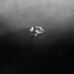 Little Simz – Flood