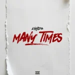 Kayode – Many Times