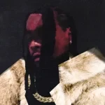 Wale – everything is a lot (ALBUM)